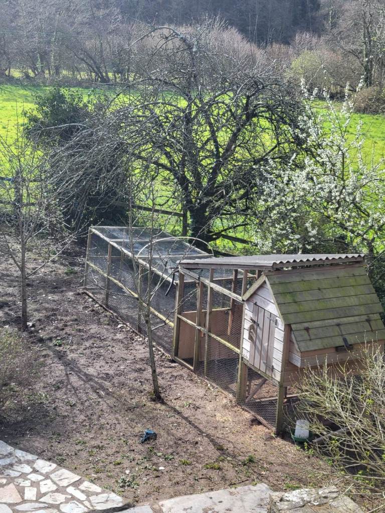 Chicken coop and run 