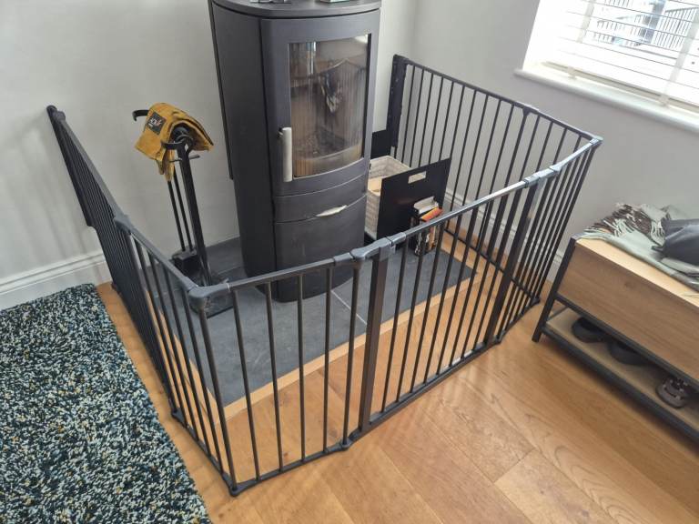 Fire guard/surround