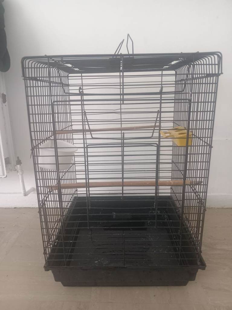 bird cage