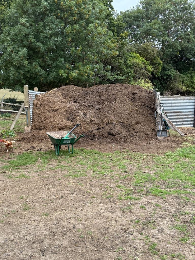 Well rotted horse manure. 