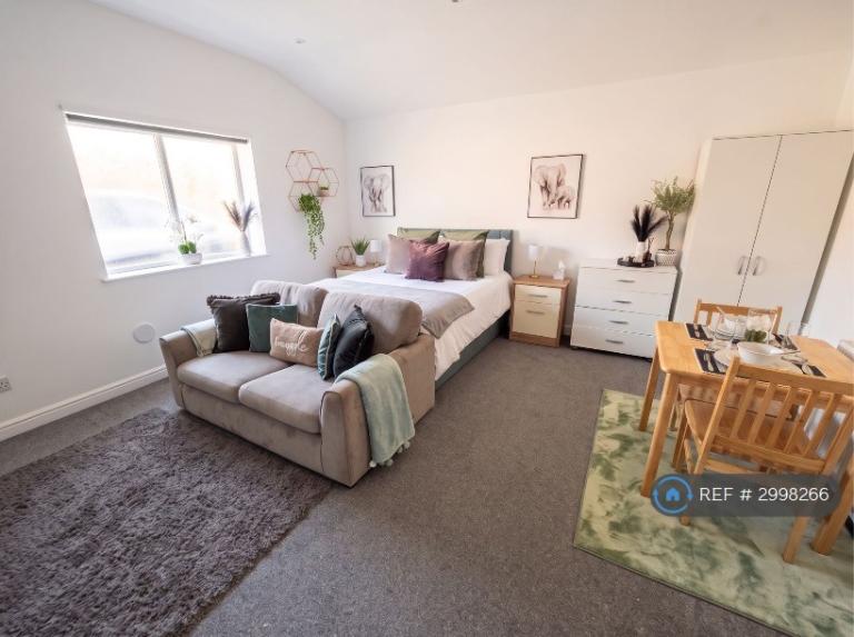 Studio flat in High Road, High Road, N22 (#2998266)