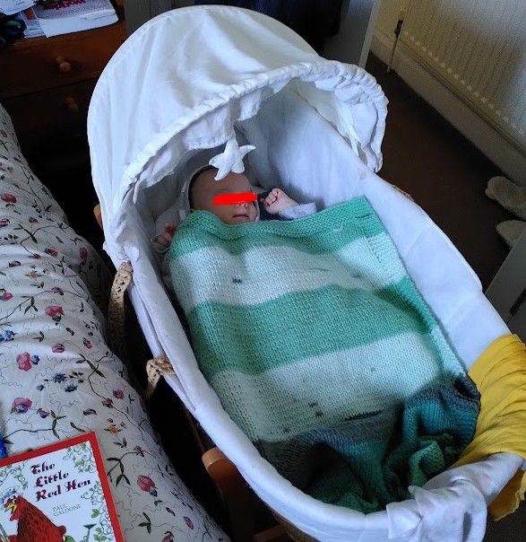 Baby bed - moses basket - free