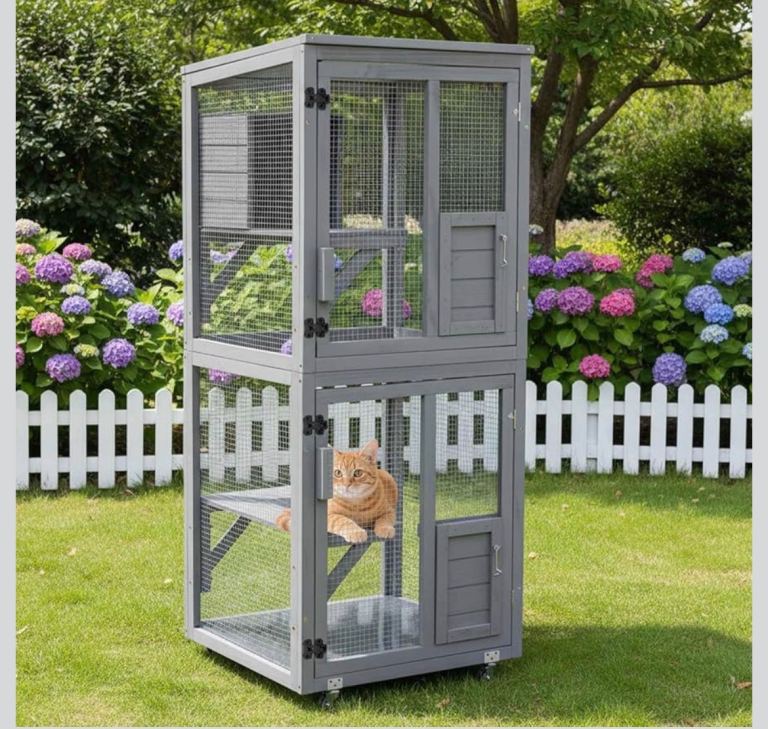 Catio