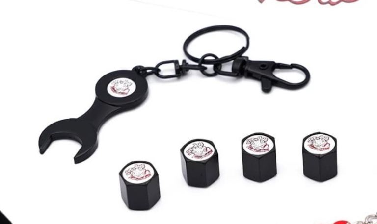 Vee Dub Transporters Gift Pack