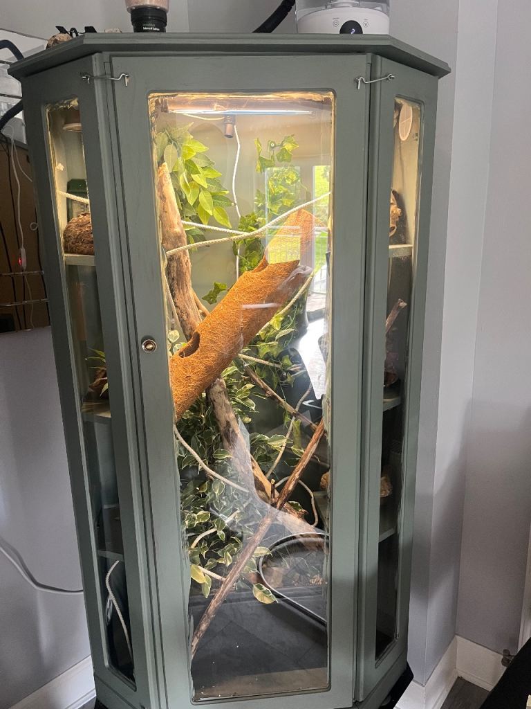 Reptile enclosure