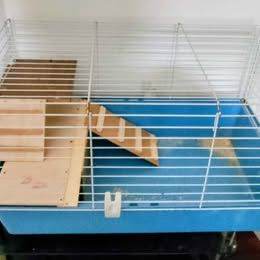 Indoor Pet Cage