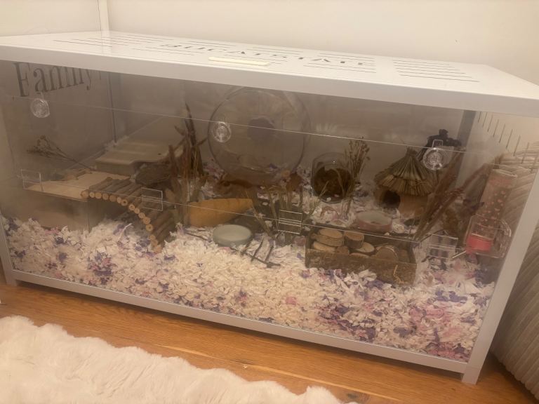 Complete Syrian hamster setup - large cage + accessories 