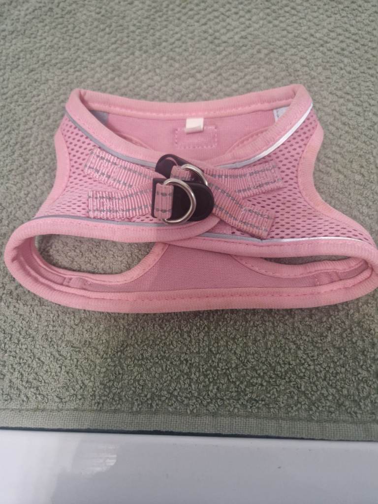 Small dog harness 