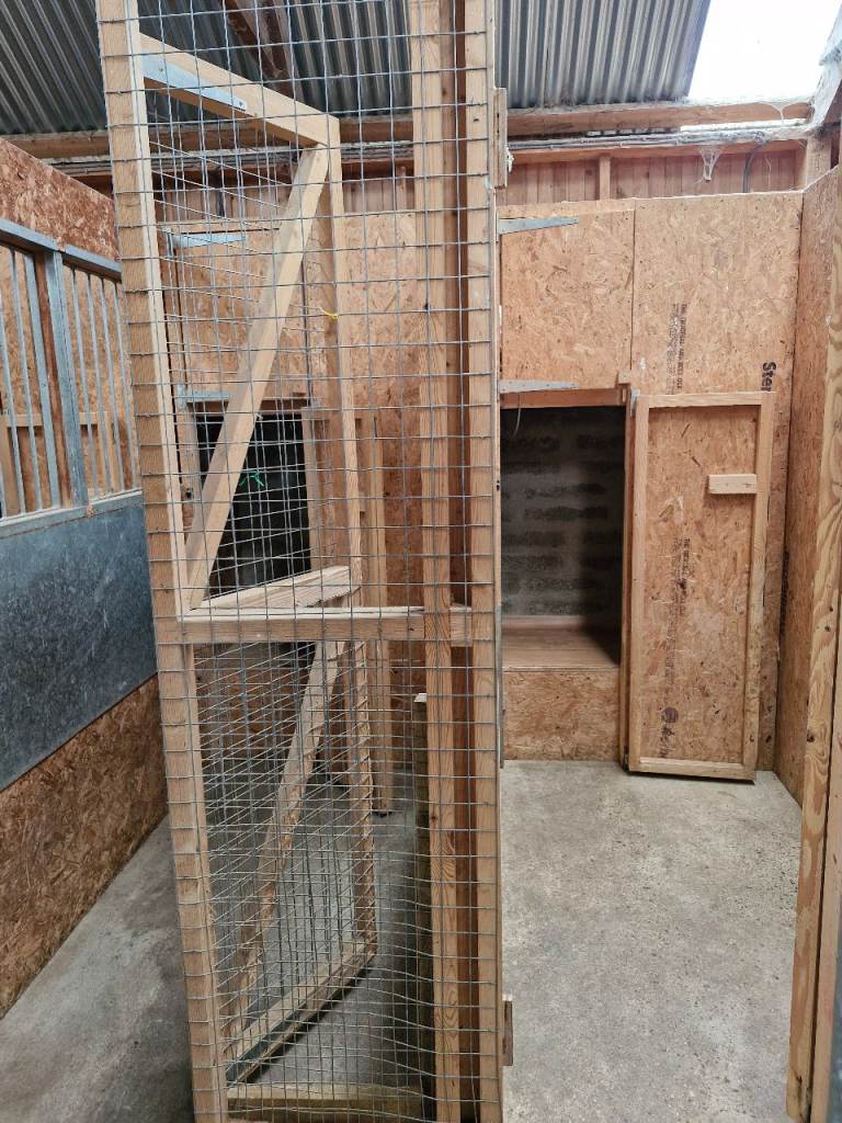Dog kennels