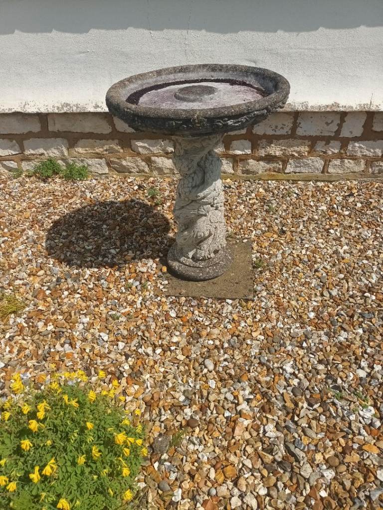 garden  bird bath