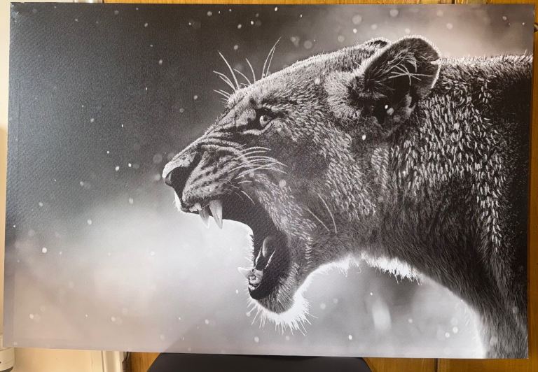 Jag Canvas with Glitter Flecks