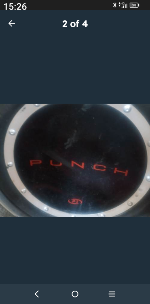 Professional Subwoofer 