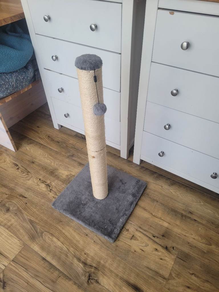 Free cat scratching post 