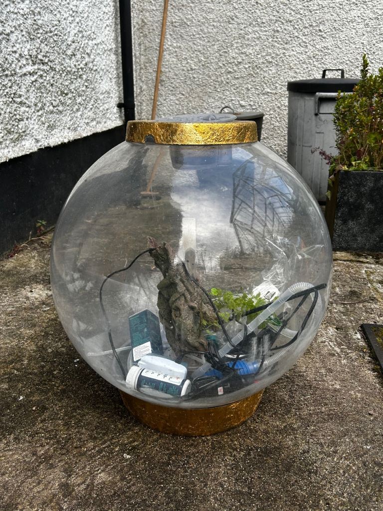Large Round Clear Aquarium Globe Fish Tank