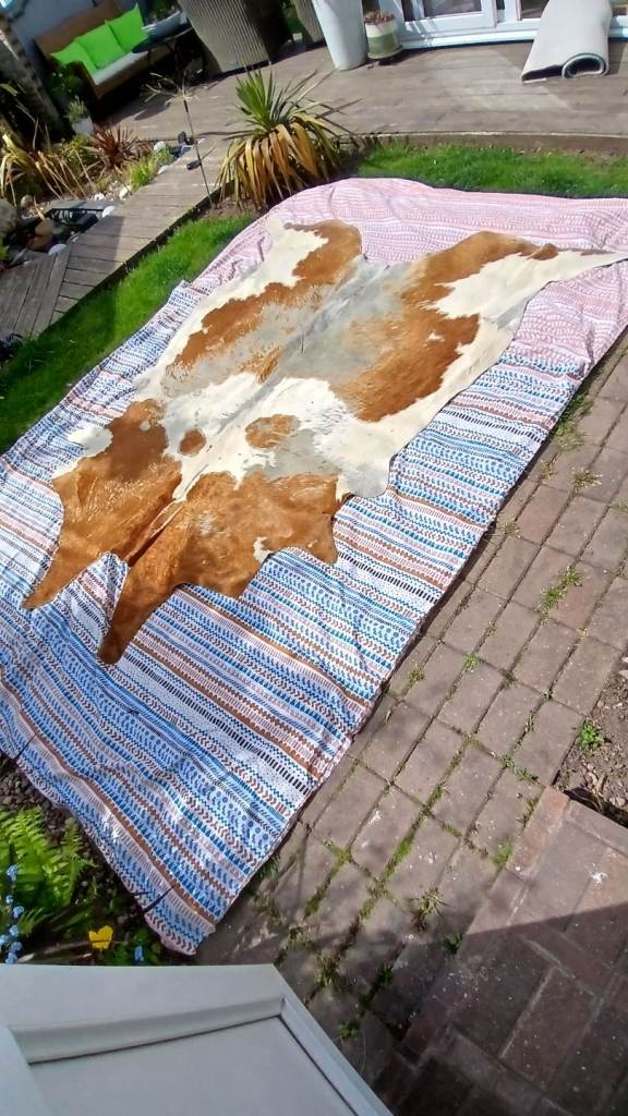 Rug cow hide 