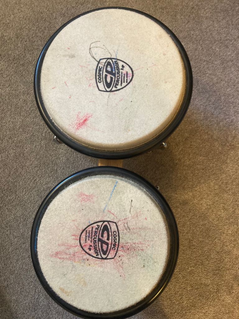 Bongo drums