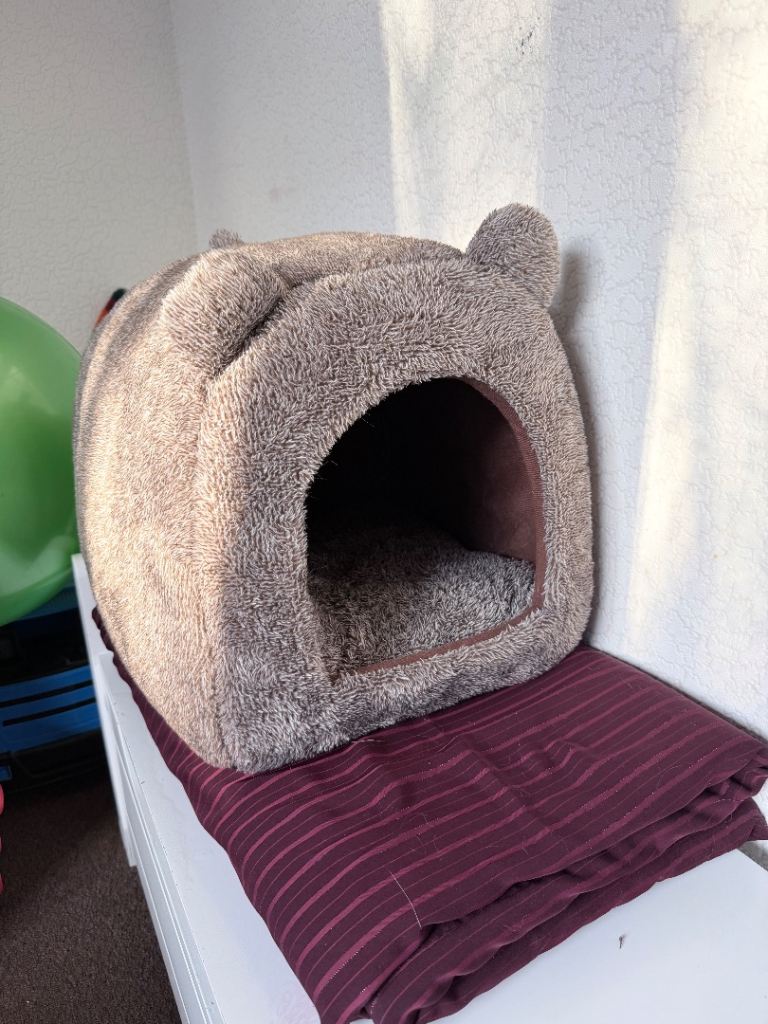Cat bed