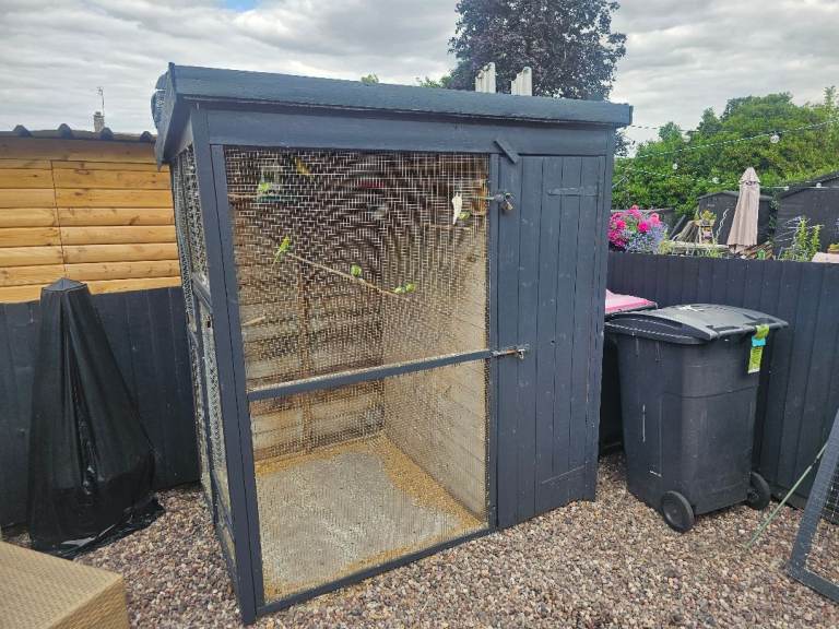 Bird aviary with 11 budgies 