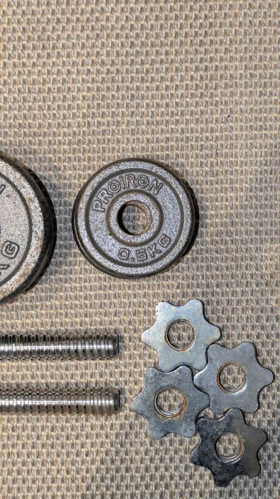 Dumbbell handles with weight plates 