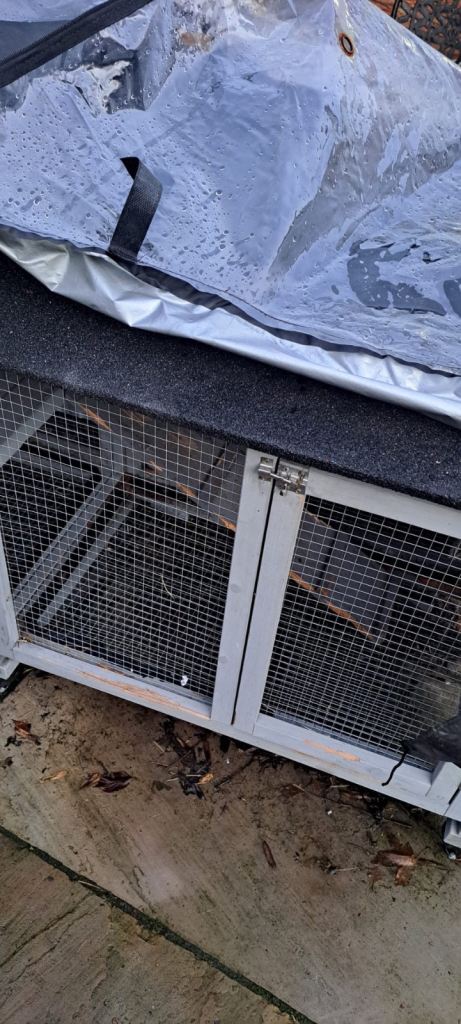 Large outdoor rabbit hutch with cover 
