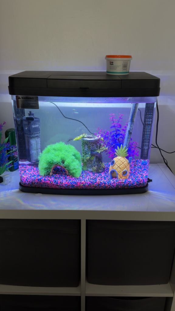LED Love fish panorama tank