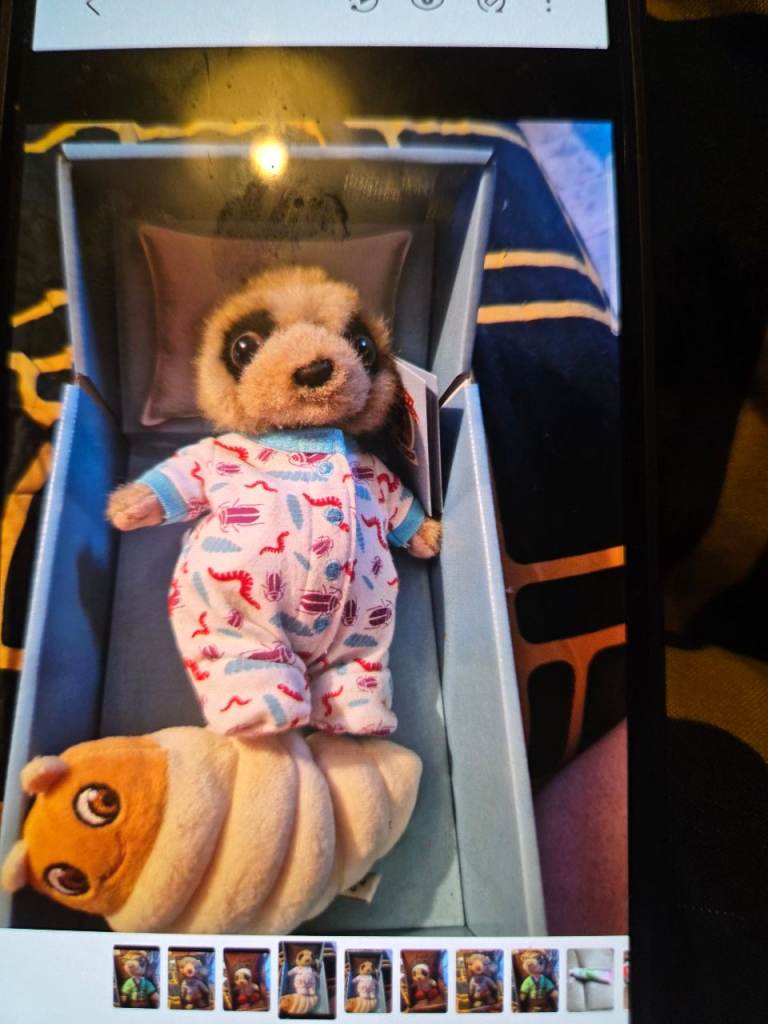 YARDIES TOY SHOP Wildcat Movies Sleepy Z's OLEG Teddy Bear New