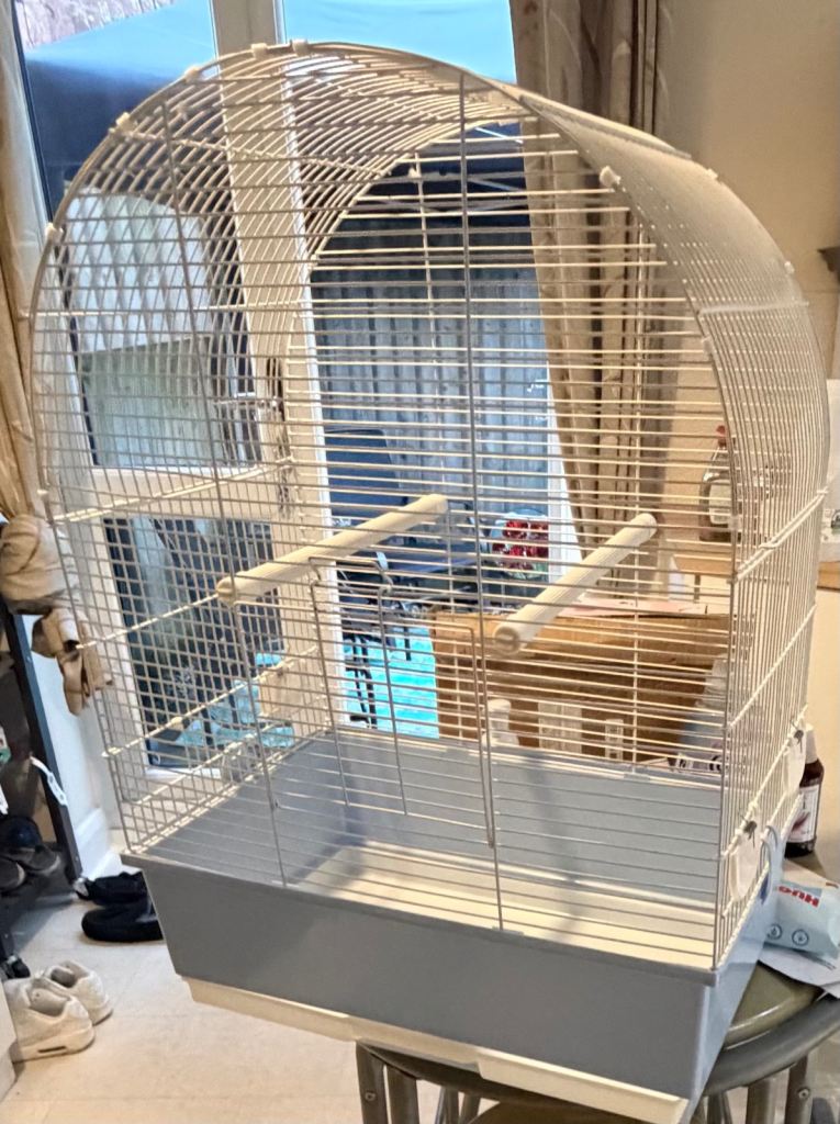 Large bird cage