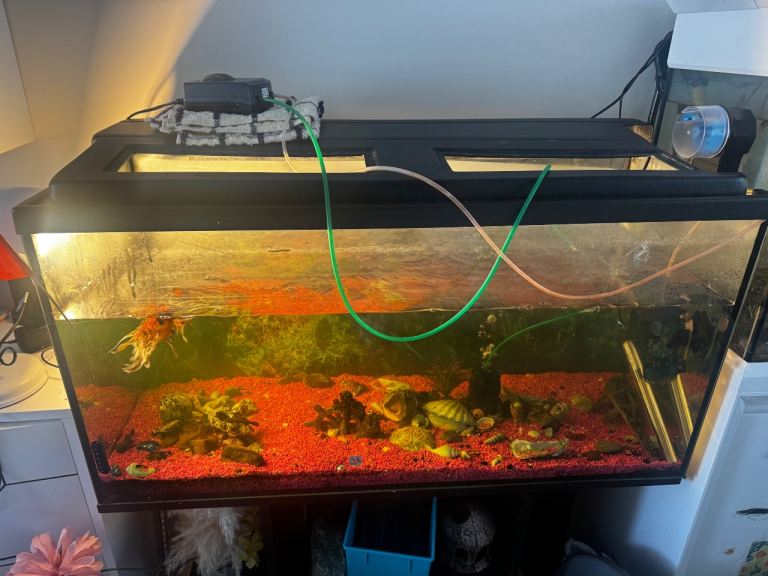 Large Fish Tank Aquarium