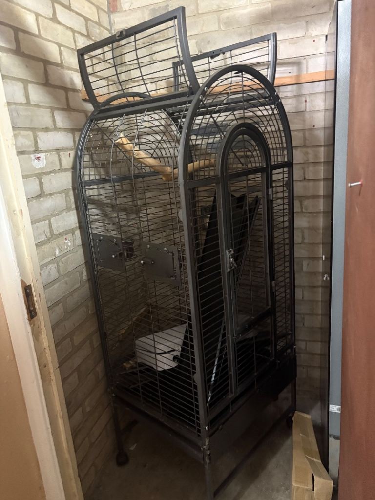 Large parrot cage 