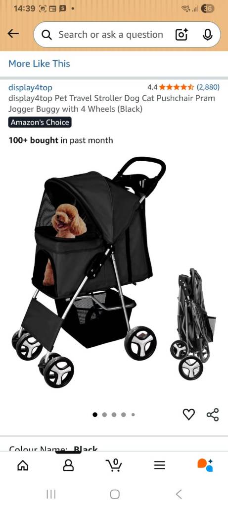 Free dog push chair and ramp