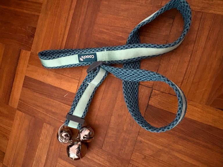New dog accessories - £3 each item