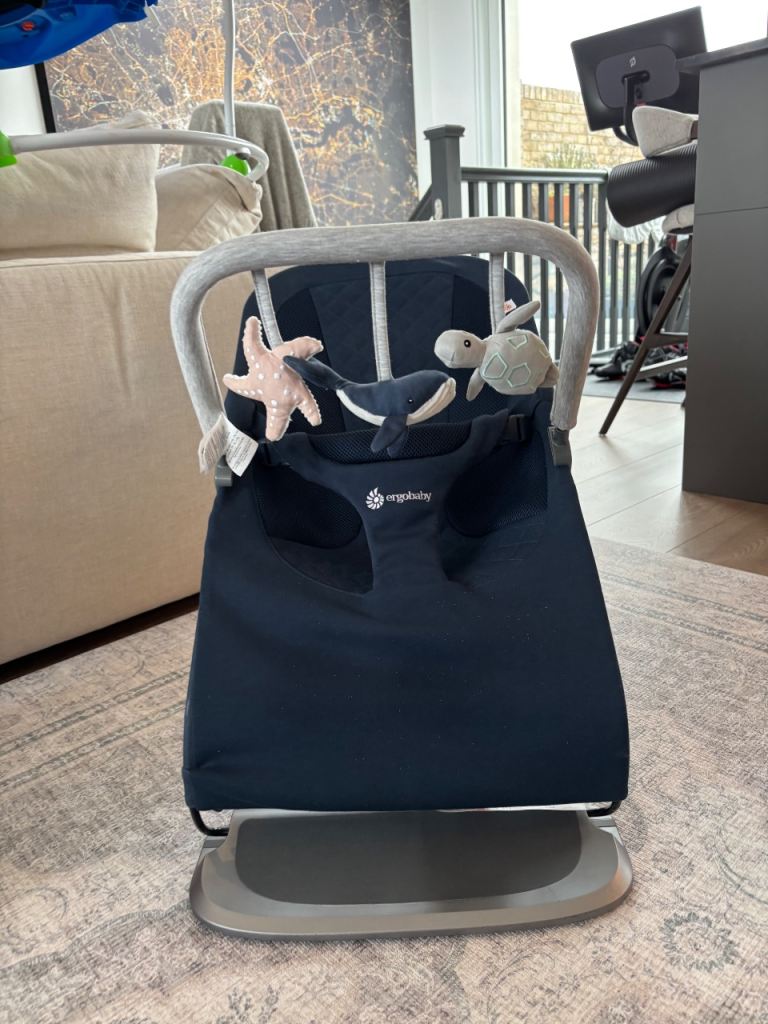 Ergobaby Bouncer 