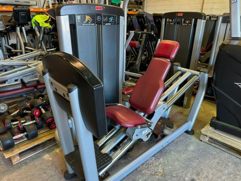 Life Fitness Insignia Series Leg Press Weights Machine