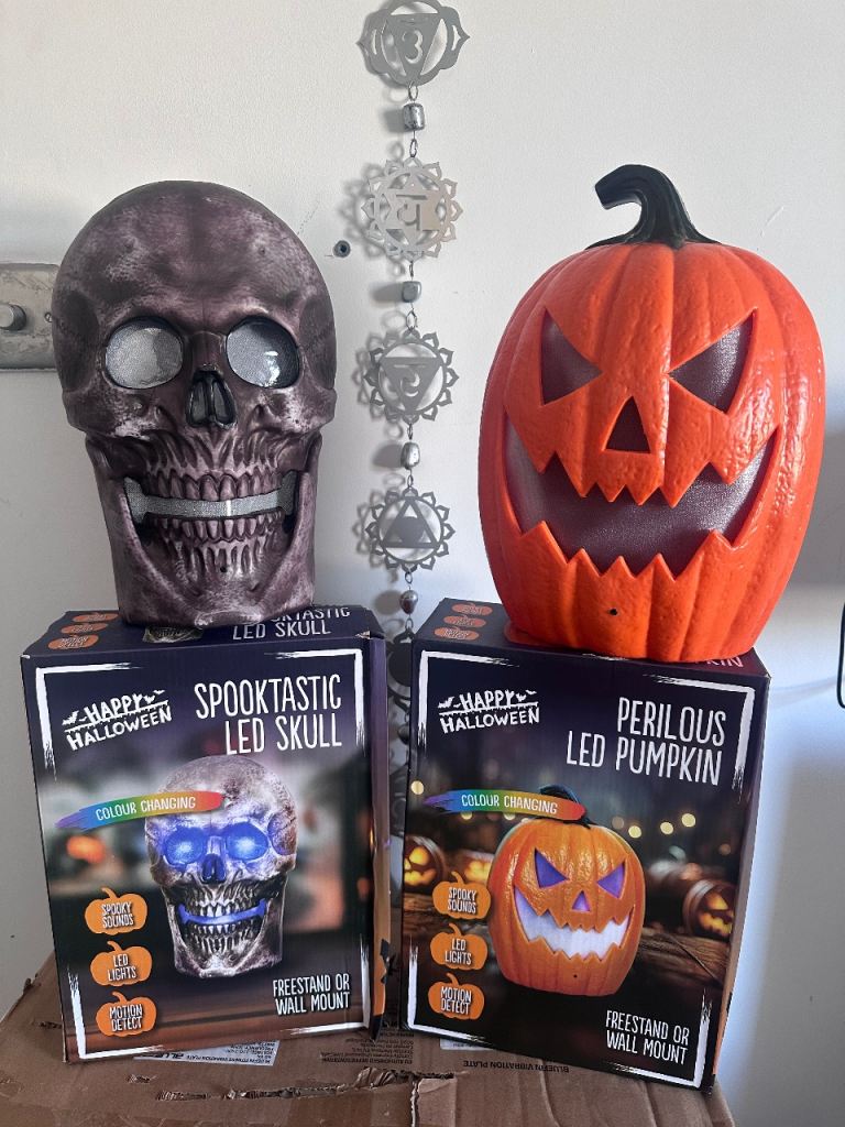 Two Happy Halloween LED Decorations - Skull & Pumpkin
