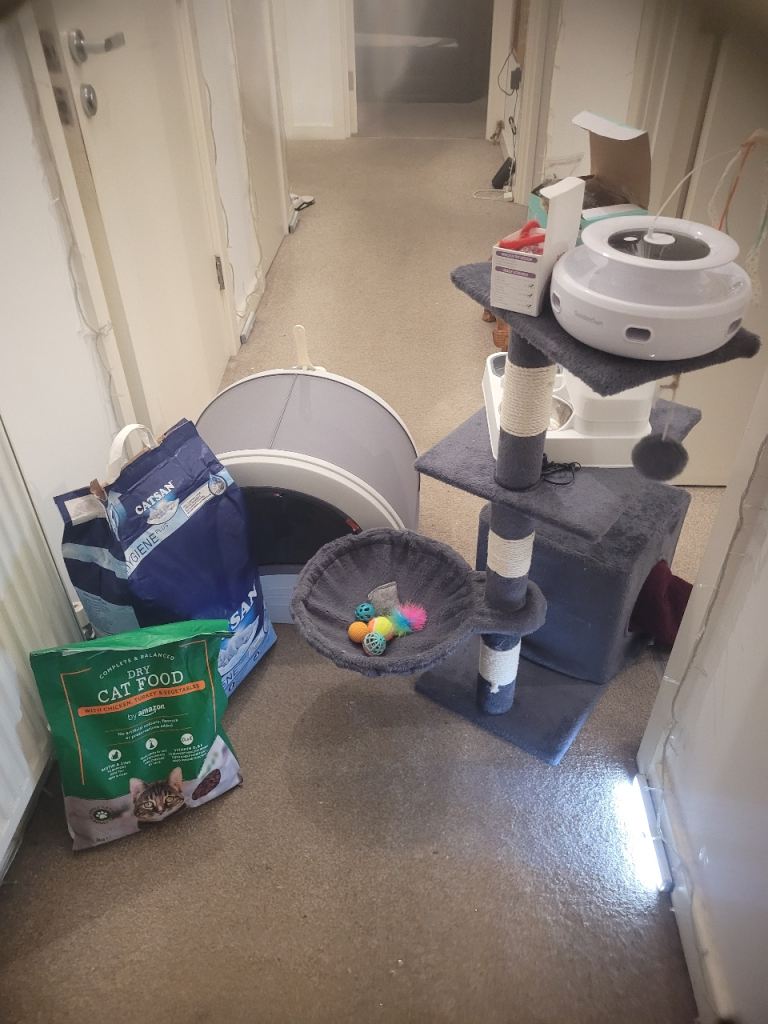 🐾 Complete Cat/Kitten Starter Bundle – Everything You Need! 🐾 £80