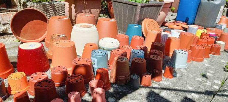 Large Bundle of Plastic and terracotta Plant Pots – Various Sizes