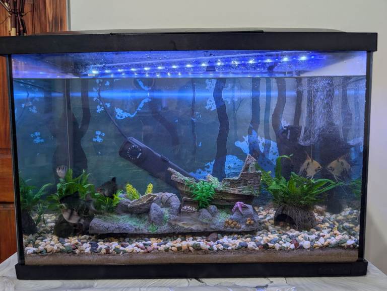 Superfish brand aquarium Fish Tank Good Condition