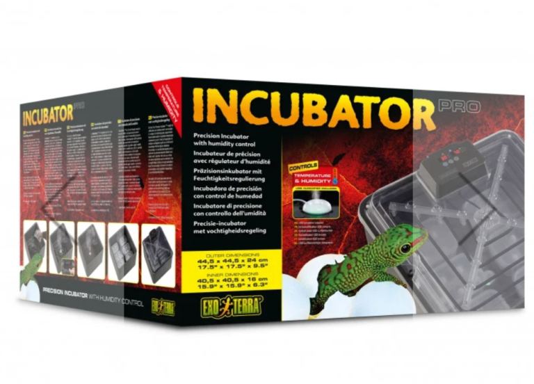 Reptile incubator 