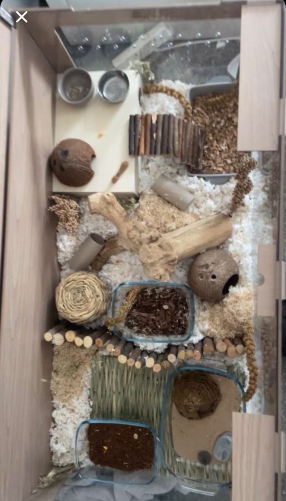 hamster cage