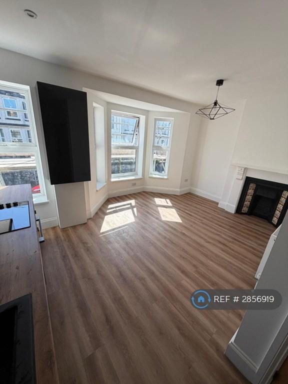 1 bedroom flat in Pasley St, Plymouth, PL2 (1 bed) (#2856919)