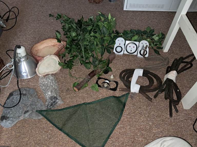 Reptile accessories 