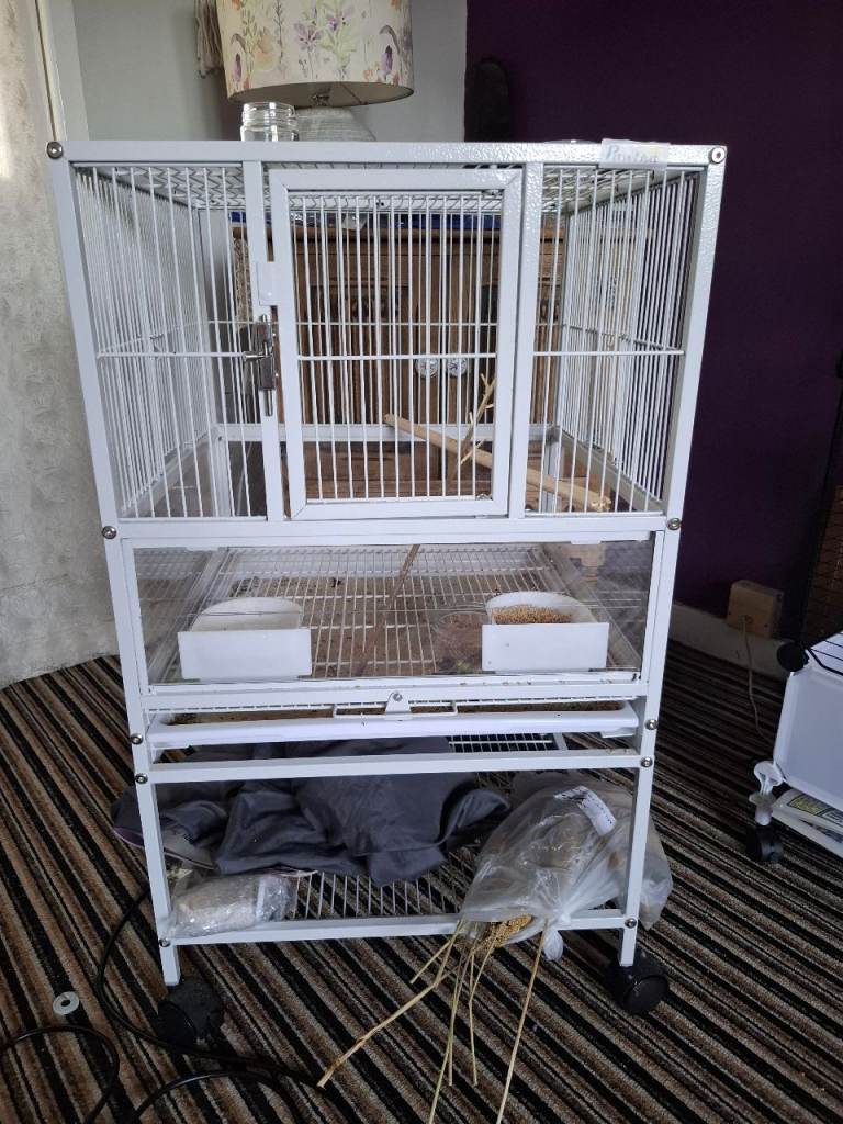 Bird cage for sale 