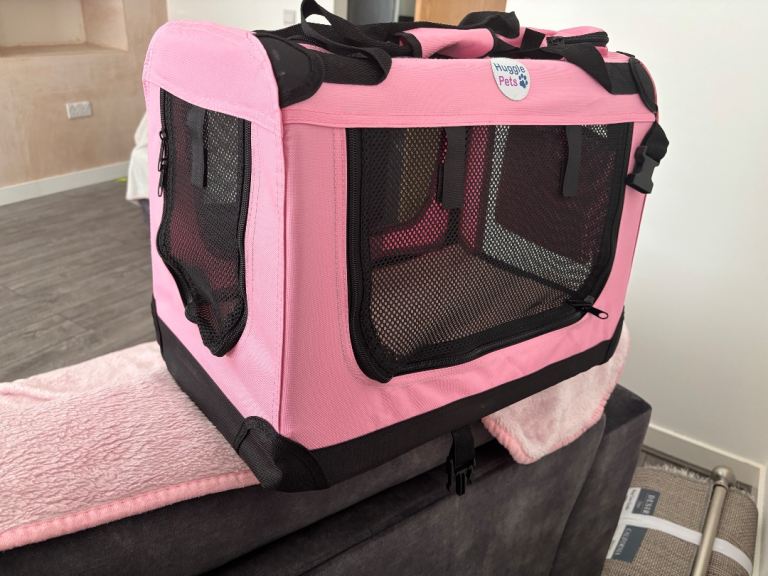 Cat accessories 