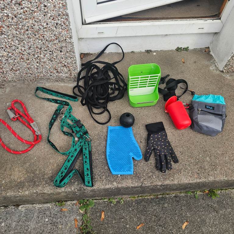 Pet training etc all vgc sorry no offers was expensive all £50