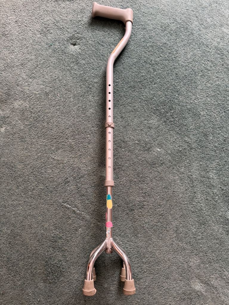 Four foot walking stick