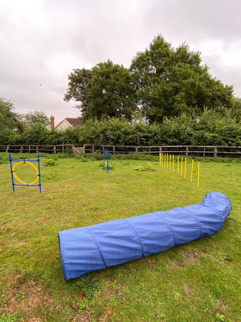 Free Dog agility equipment 