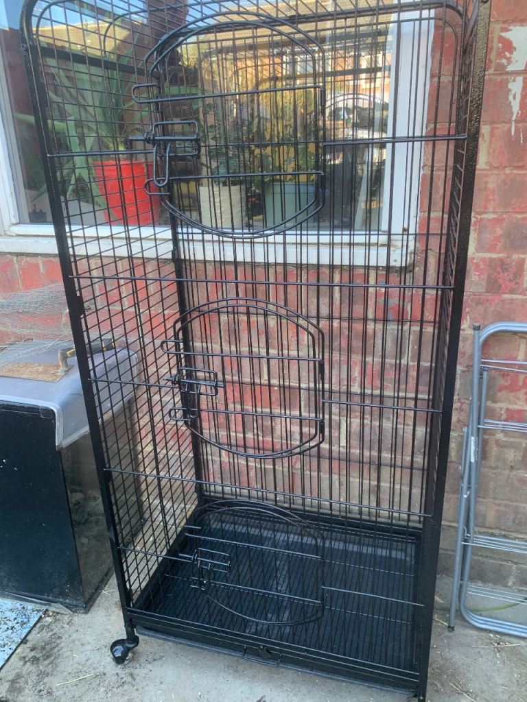 Parott cage 