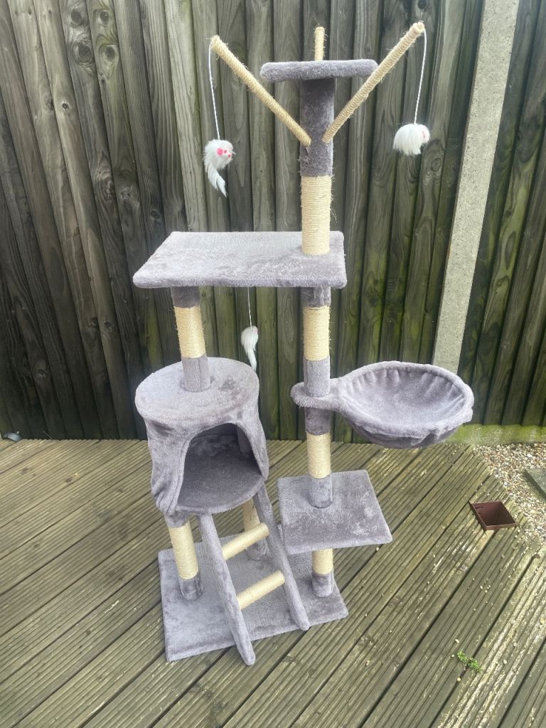 Cat playground