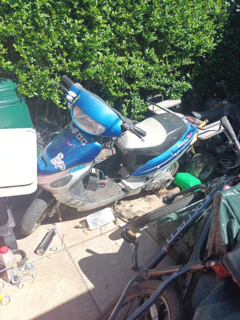 Lexmoto, SCOUT, 2015, 49 (cc)