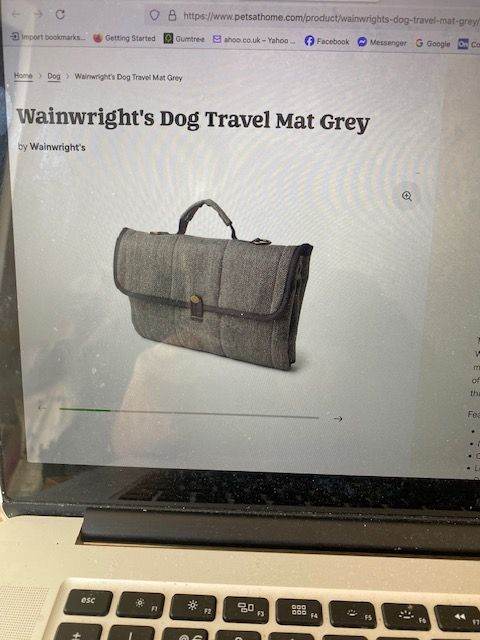     Wainwrights Dog Travel  Folding Bed Blue  (washable )